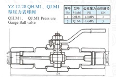 YZ12-28压力表球阀